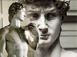 Galería de la Academia de Florencia. Espacios para el arte