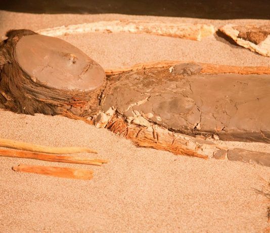 Las momias Chinchorro: las más antiguas del mundo
